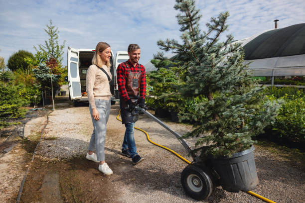 Organic Lawn Care Solutions in East Dubuque, IL